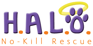 H.A.L.O. No-Kill Rescue