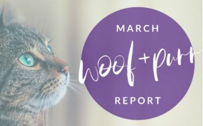 Woof & Purr Report March