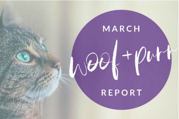 Woof & Purr Report March