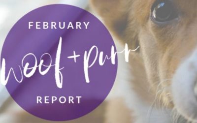 Woof & Purr Report February