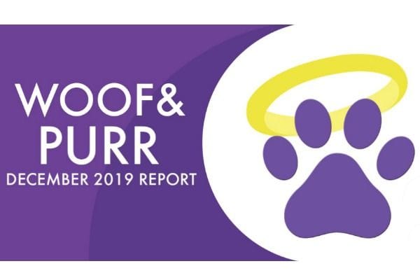 Woof & Purr Report December