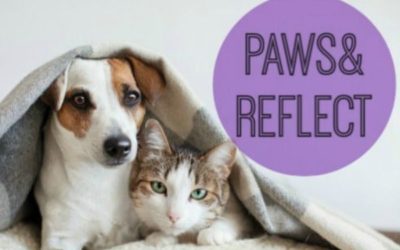 Paws & Reflect 2019