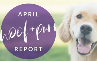 Woof & Purr Report April