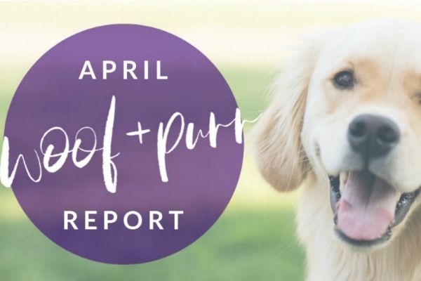 Woof & Purr Report April