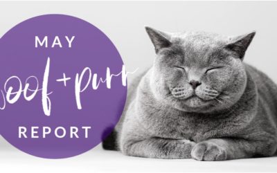 Woof & Purr Report May