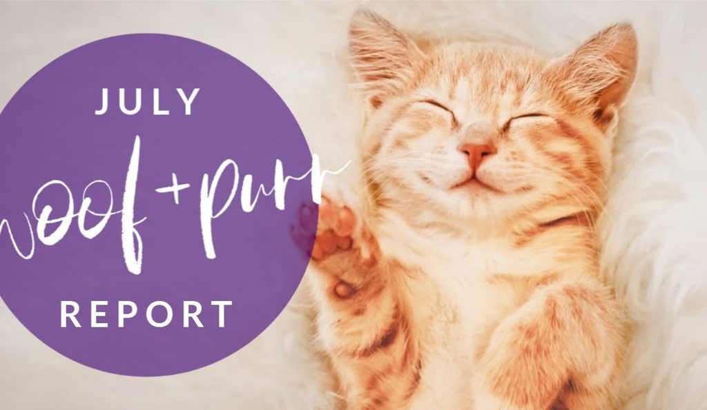 Woof & Purr Report July