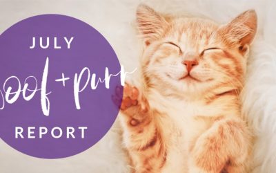 Woof & Purr Report July