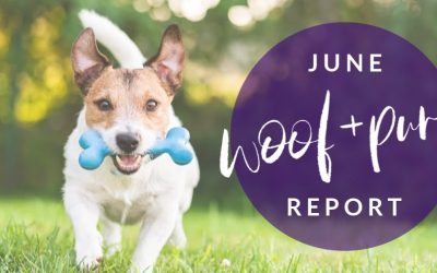 Woof & Purr Report June