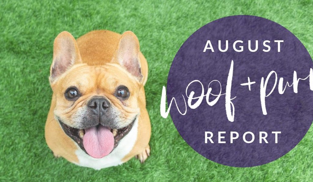 Woof & Purr Report August