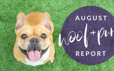 Woof & Purr Report August