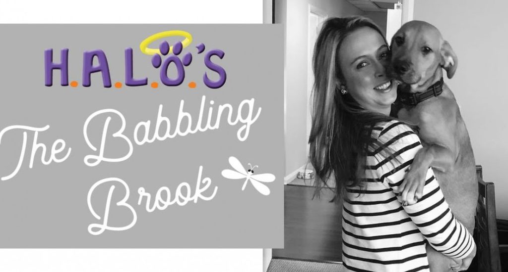 The Babbling Brook Blog!