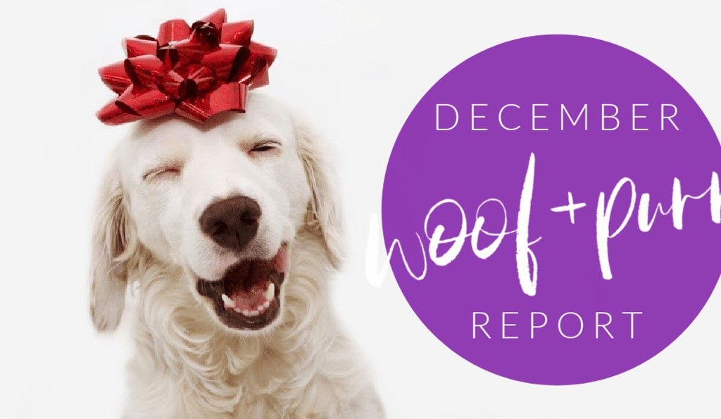 Woof & Purr Report December