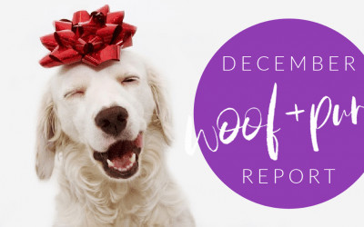 Woof & Purr Report December