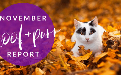 Woof & Purr Report November