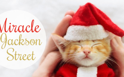 Miracle on Jackson Street!