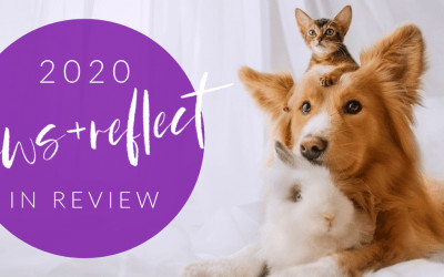 Paws & Reflect 2020!