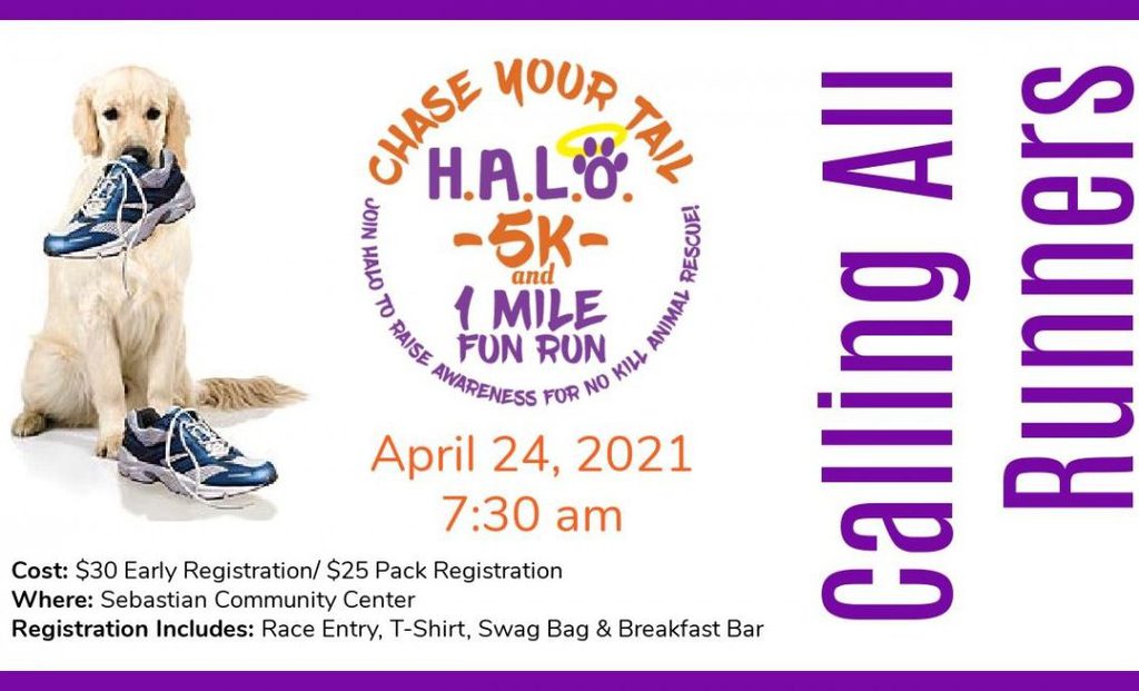 H.A.L.O.’s Chase Your Tail 5k