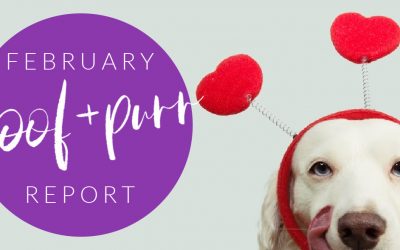 Woof & Purr Report February