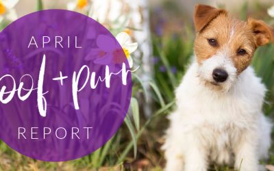 Woof & Purr Report April