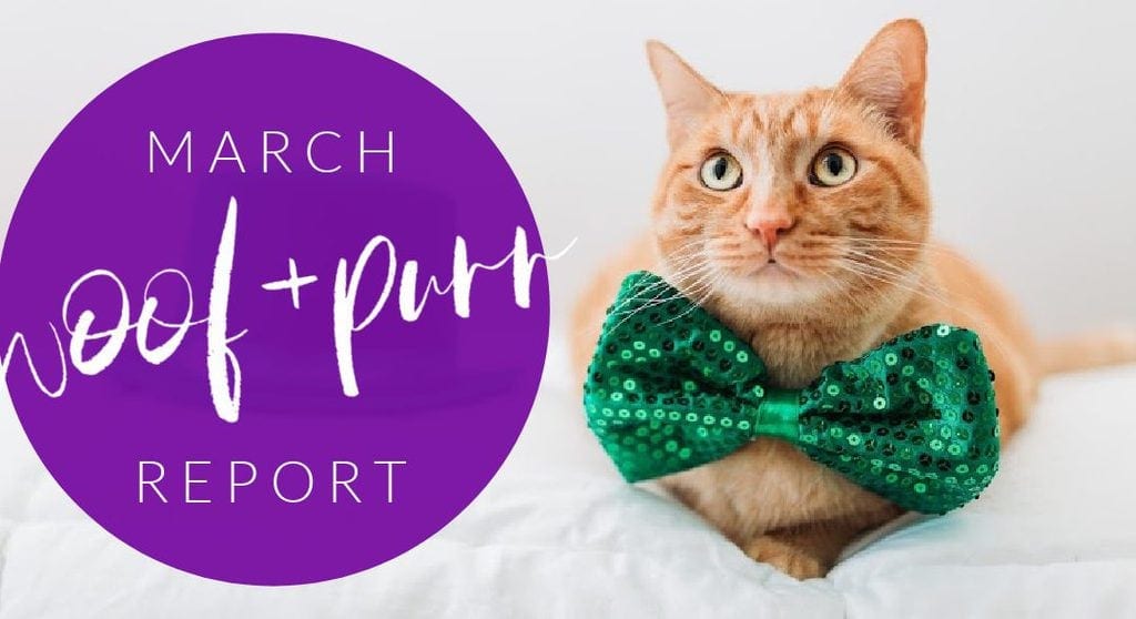 Woof & Purr Report March