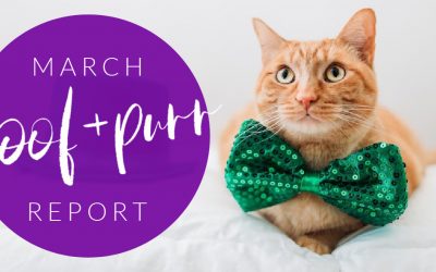 Woof & Purr Report March