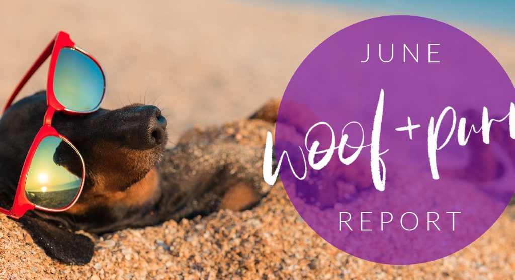 Woof & Purr Report June