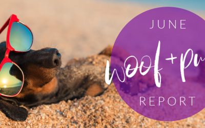 Woof & Purr Report June