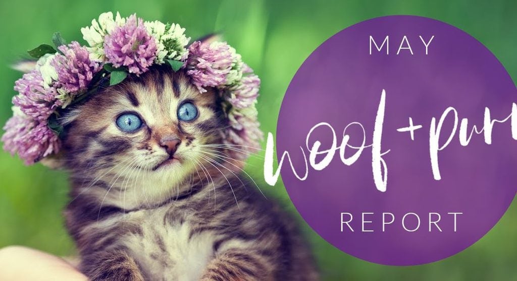 Woof & Purr Report May