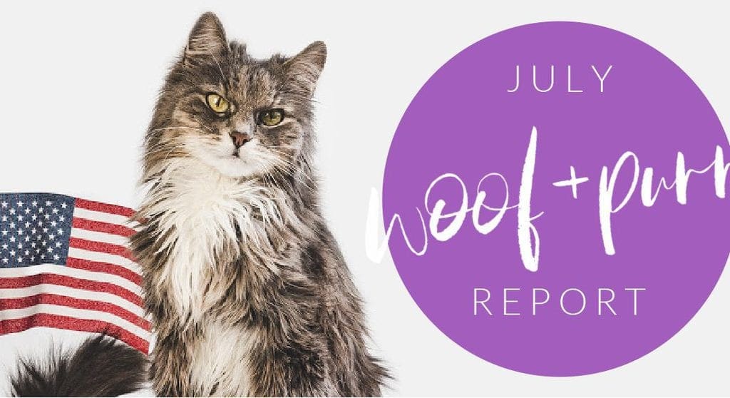 Woof & Purr Report July