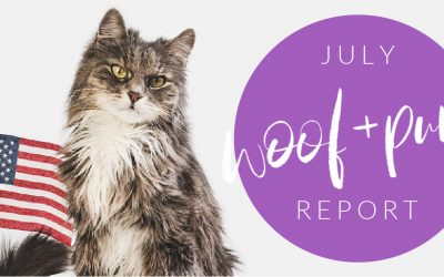 Woof & Purr Report July