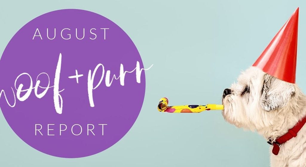 Woof & Purr Report August