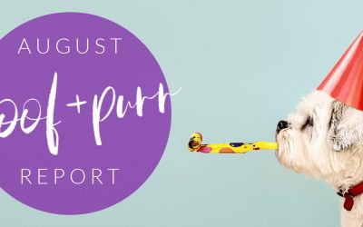 Woof & Purr Report August