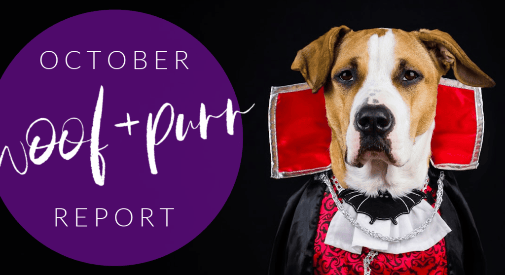 Woof & Purr Report October