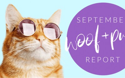 Woof & Purr Report September