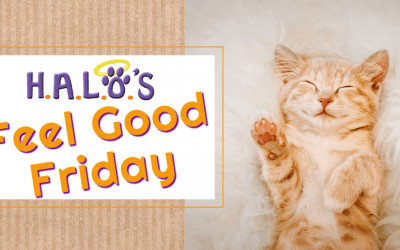 Feel Good Friday!