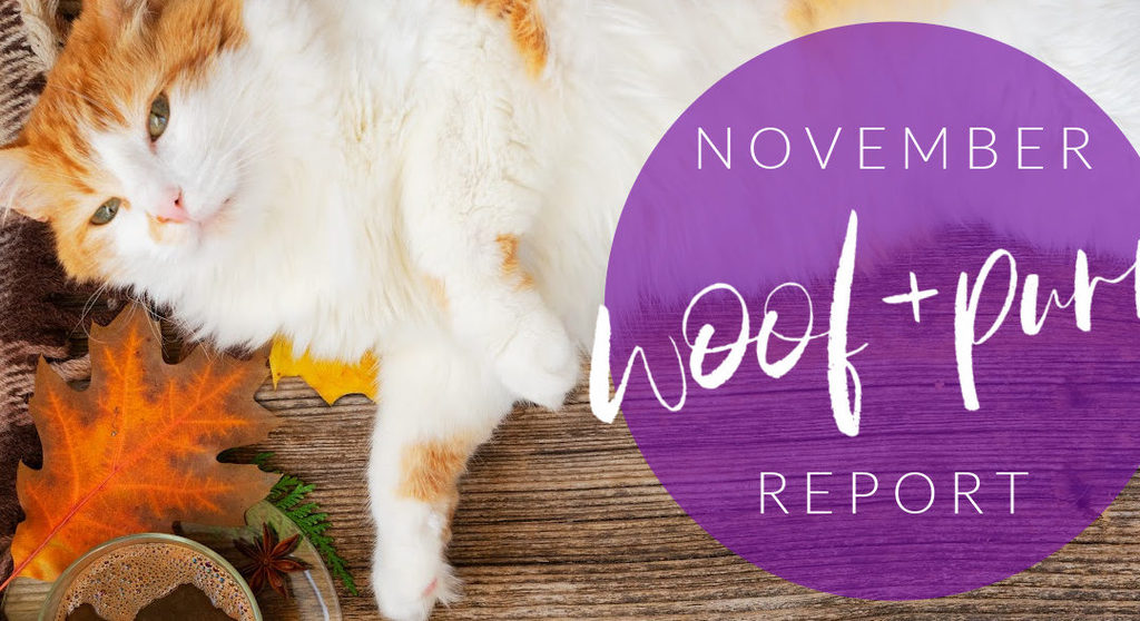 Woof & Purr Report November
