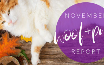 Woof & Purr Report November