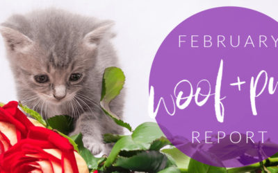 Woof & Purr Report February