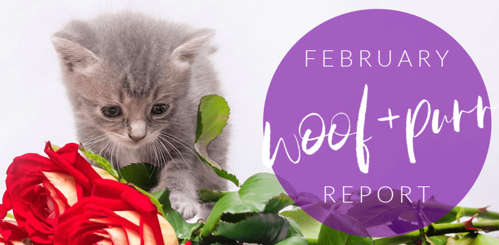 Woof & Purr Report February