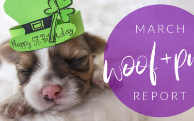 Woof & Purr Report March