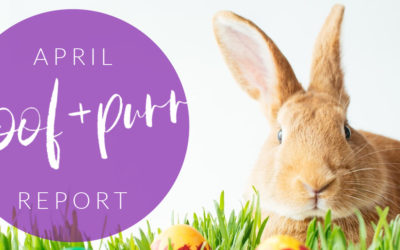 Woof & Purr Report April