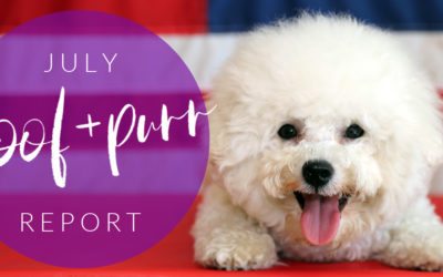 Woof & Purr Report July