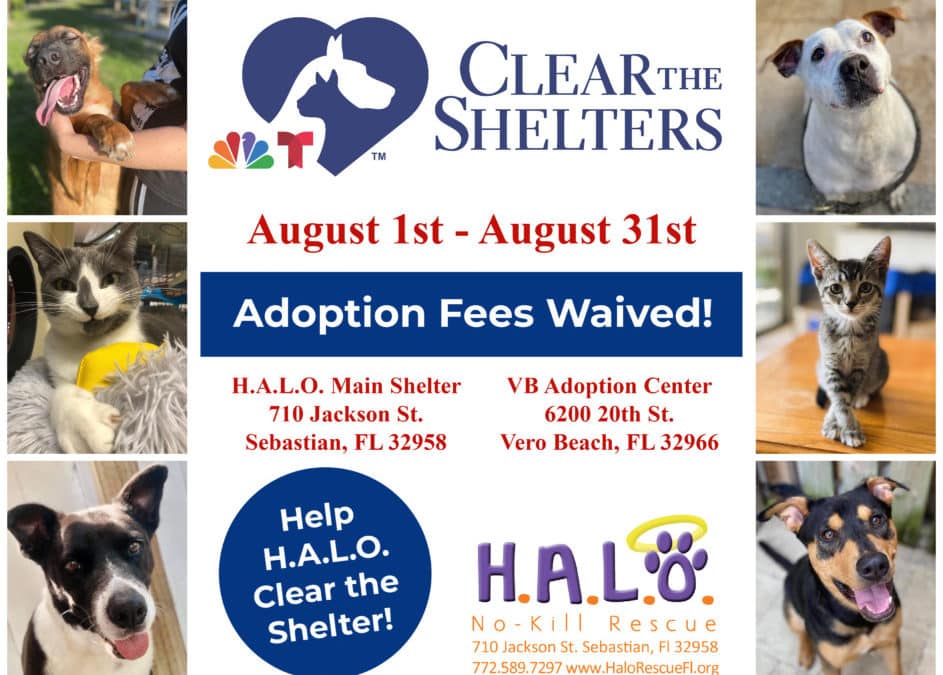 Clear the Shelter!