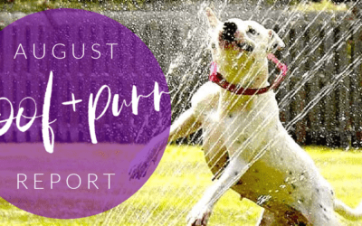 Woof & Purr Report August