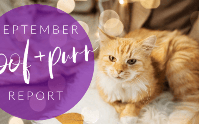 Woof & Purr Report September