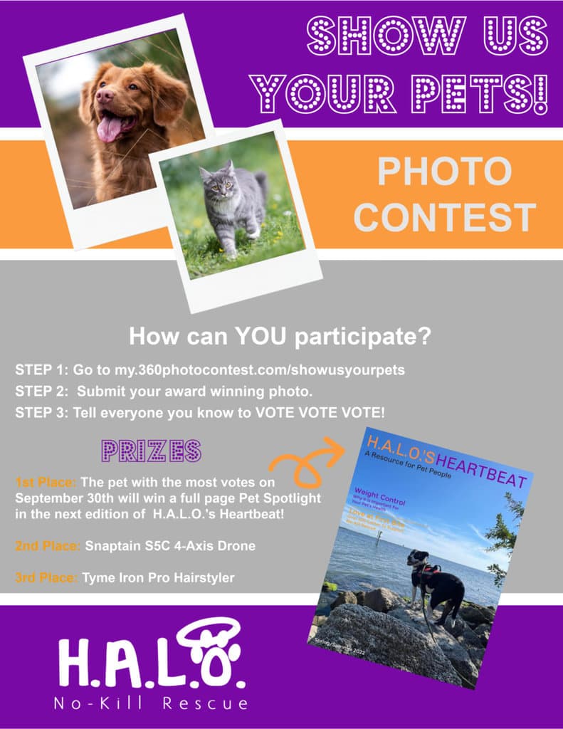 Show Us Your Pets Contest