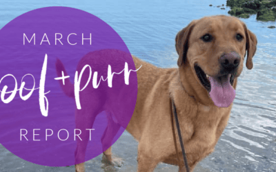 Woof & Purr Report March