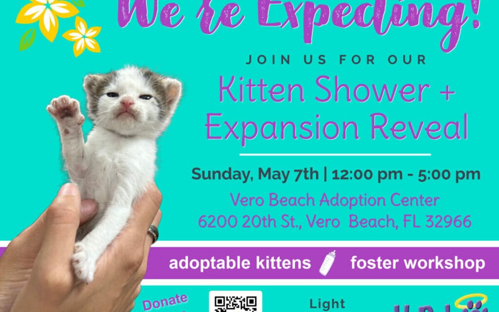 Kitten Shower & Expansion Reveal!