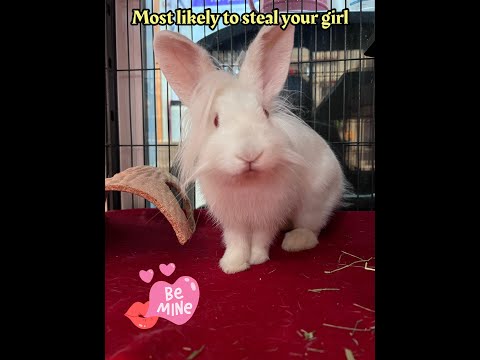 Snow White - Even Pretty When He Eats!