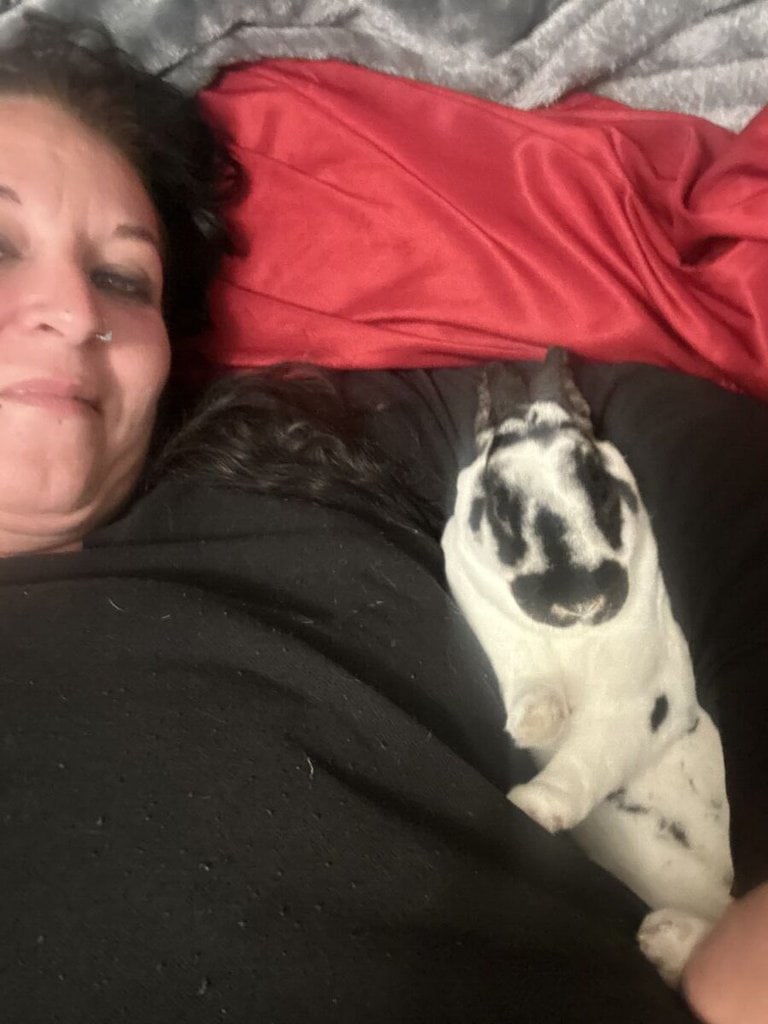 Bun Bun 1